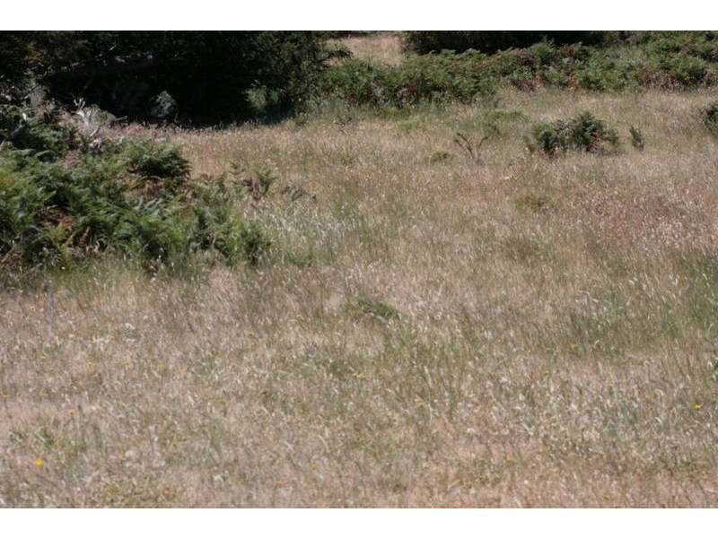 Crown Allotment 32, Warrak VIC 3377