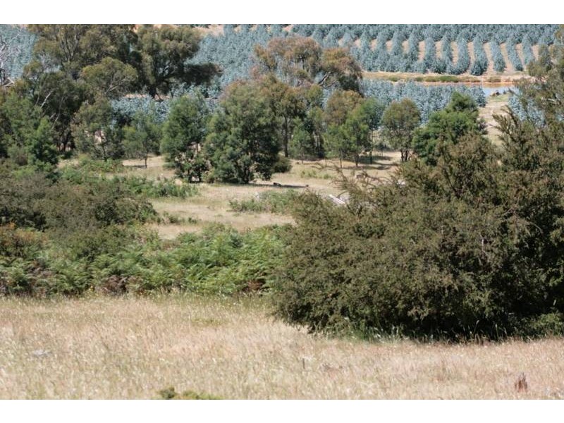 Crown Allotment 32, Warrak VIC 3377