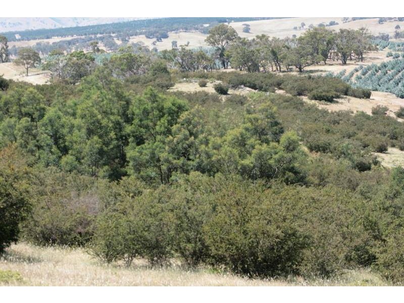 Crown Allotment 32, Warrak VIC 3377