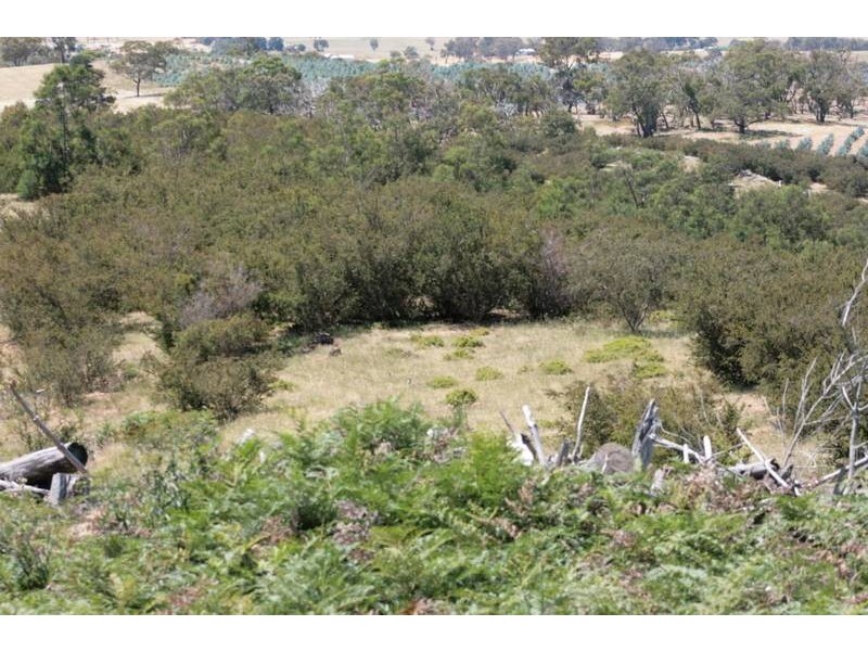 Crown Allotment 32, Warrak VIC 3377