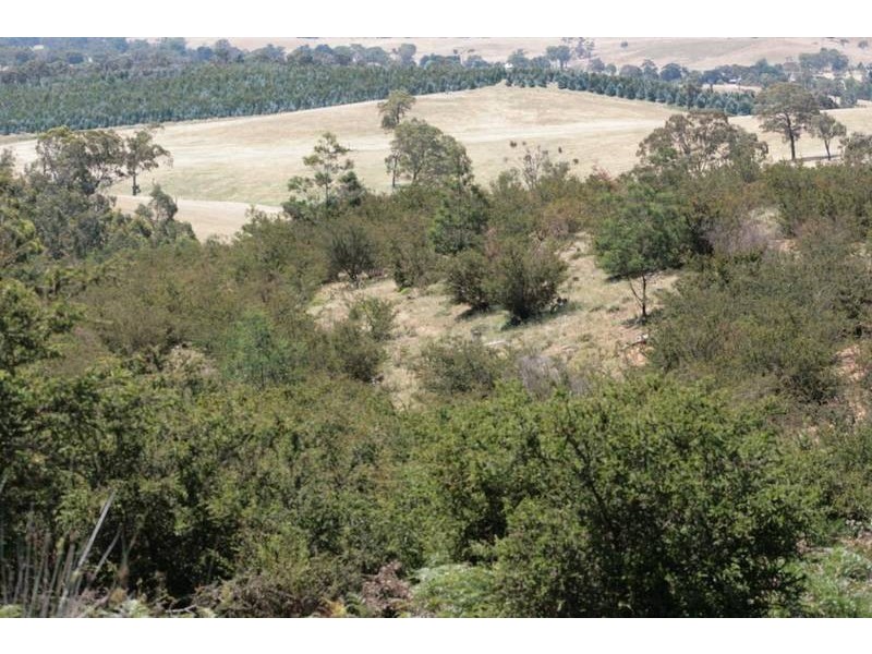 Crown Allotment 32, Warrak VIC 3377