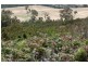 Crown Allotment 32, Warrak VIC 3377