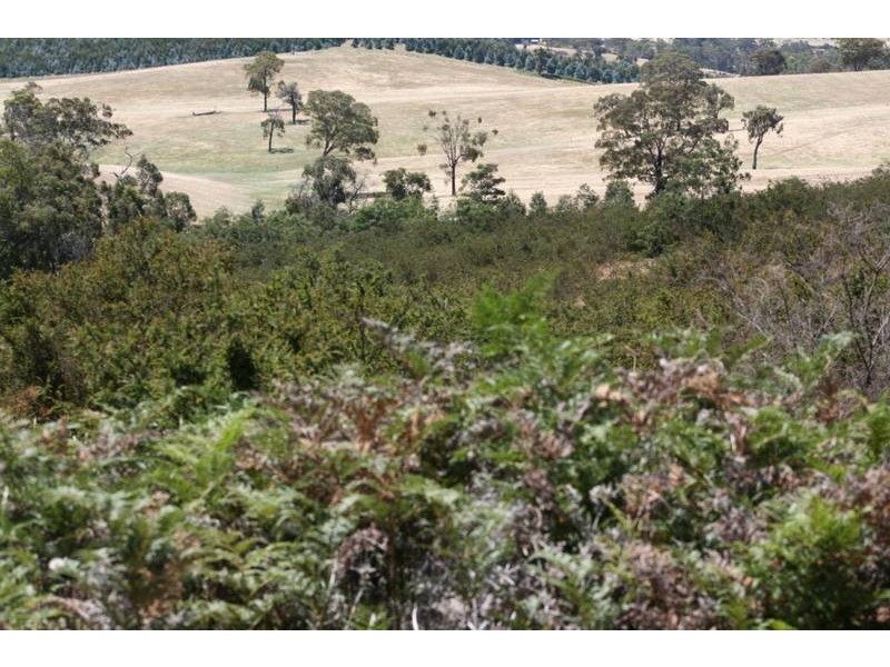 Crown Allotment 32, Warrak VIC 3377