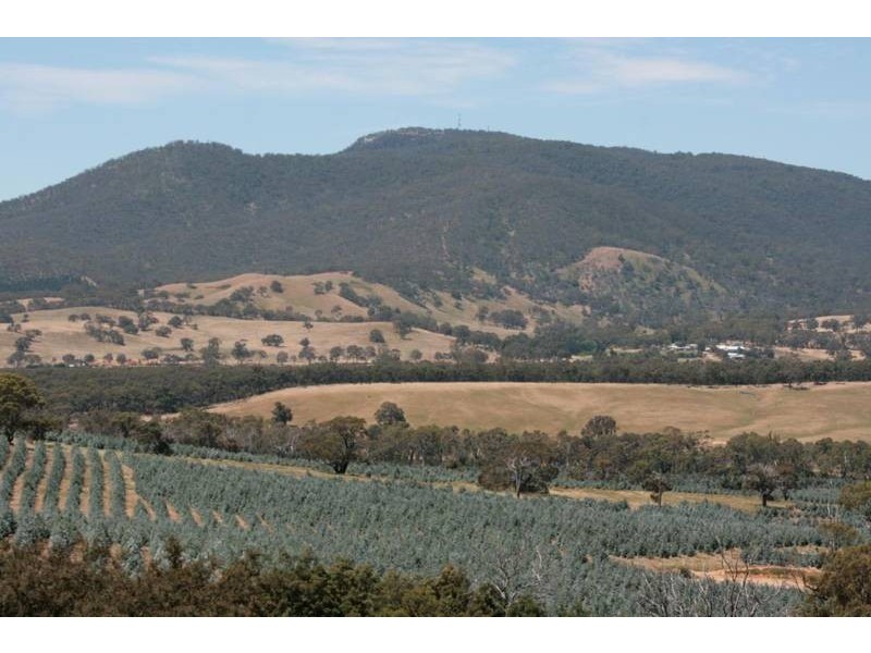 Crown Allotment 32, Warrak VIC 3377