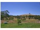 1374 Pyrenees Highway, Amphitheatre VIC 3468