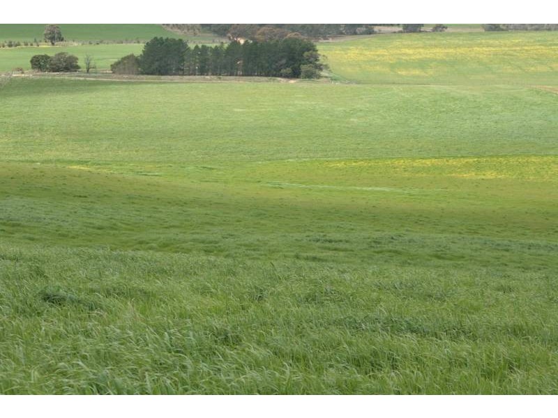 Corner Tatyoon North & Langi Logan Rd, Langi Logan VIC 3377