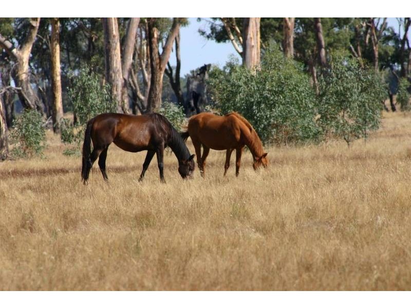 2053 Pomonal Road, Pomonal VIC 3381