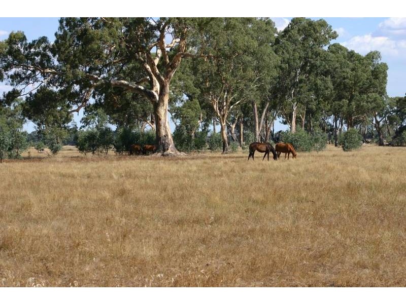 2053 Pomonal Road, Pomonal VIC 3381