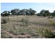 299 Bowen Mine Rd, Moyston VIC 3377