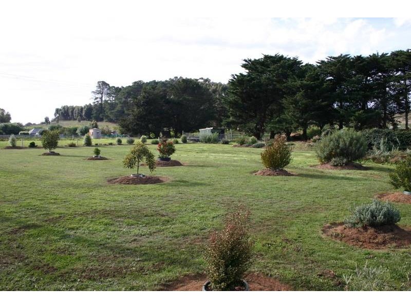 40 Walker Street, Wickliffe VIC 3379