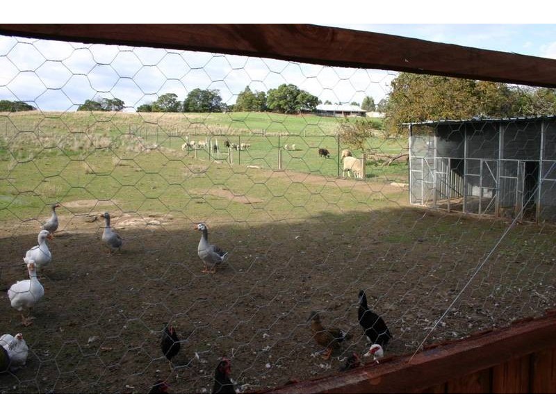 40 Walker Street, Wickliffe VIC 3379