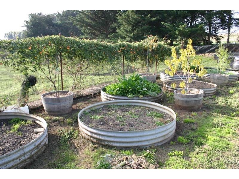 40 Walker Street, Wickliffe VIC 3379