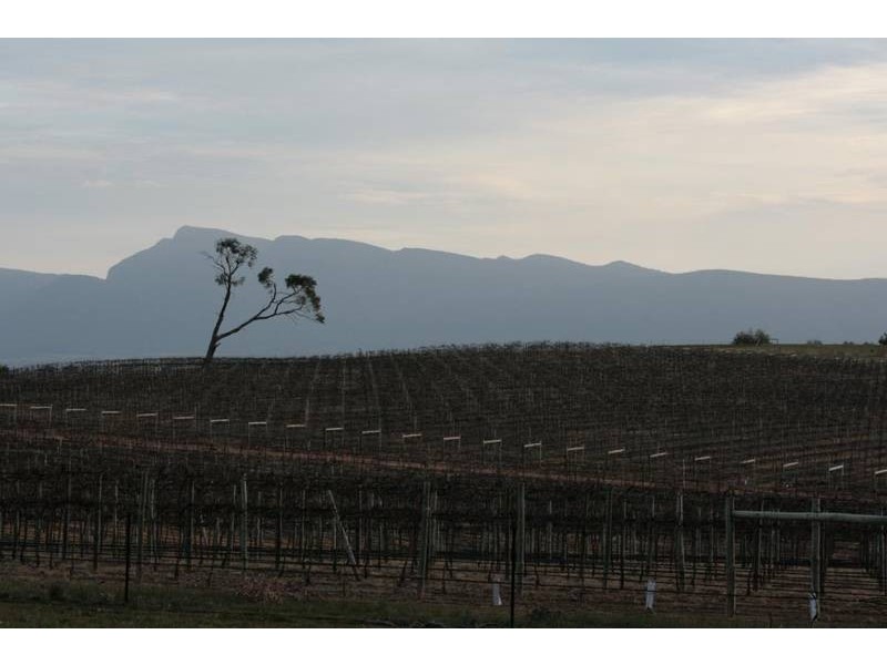 563 Sugar Loaf Road, Great Western VIC 3377