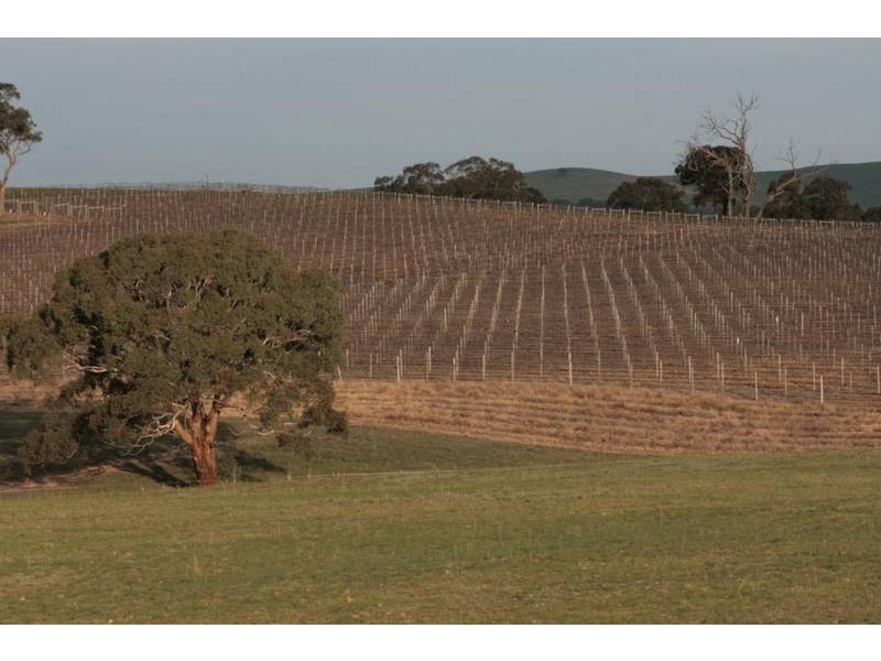 563 Sugar Loaf Road, Great Western VIC 3377