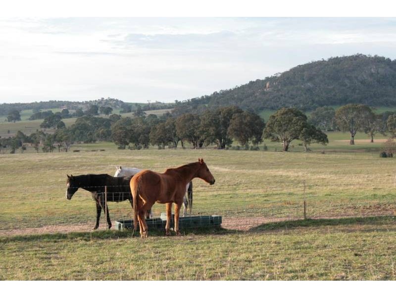 563 Sugar Loaf Road, Great Western VIC 3377