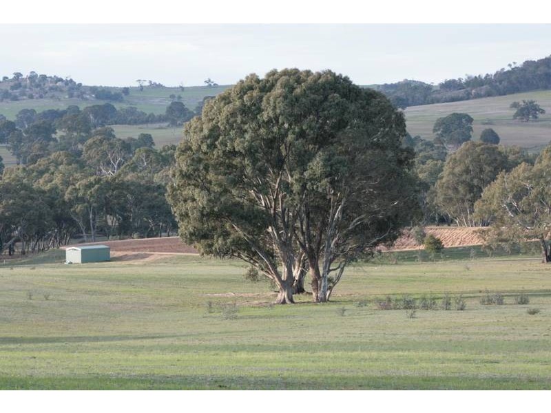 563 Sugar Loaf Road, Great Western VIC 3377