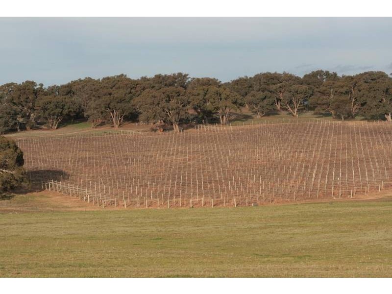 563 Sugar Loaf Road, Great Western VIC 3377