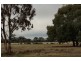 63 Waterhole Road, Pomonal VIC 3381