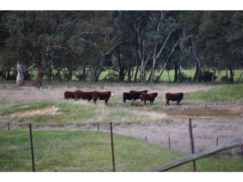 6018 Pyrenees Highway, Ararat VIC 3377