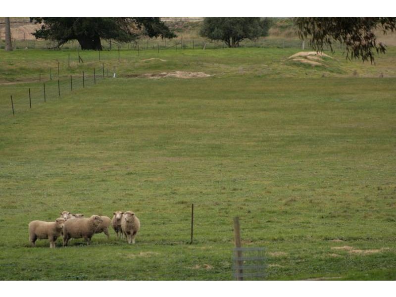 7245 Mortlake Ararat Road, Maroona VIC 3377