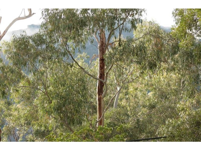 86 Scotts Road, Halls Gap VIC 3381