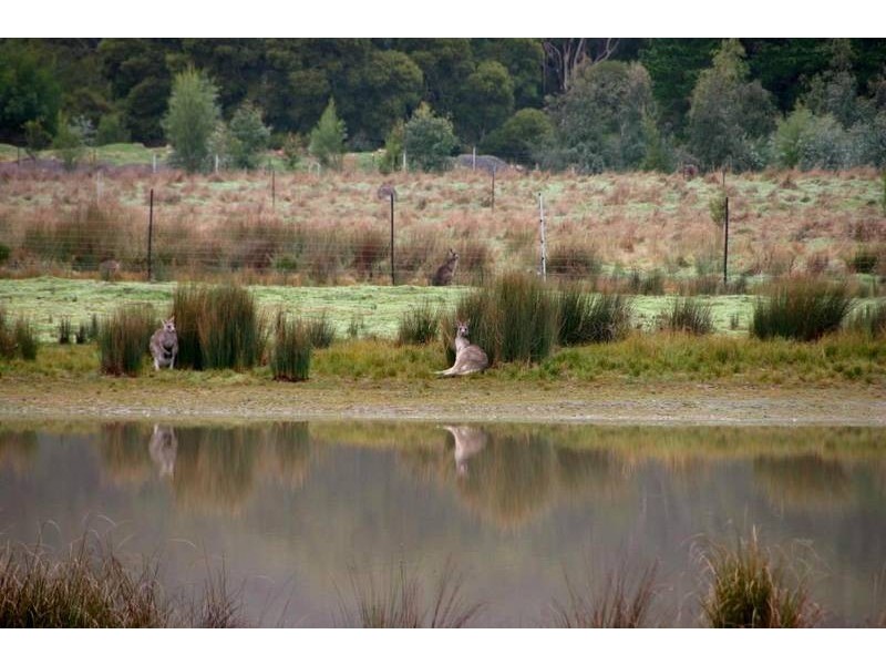 161-163 Grampians Road, Halls Gap VIC 3381