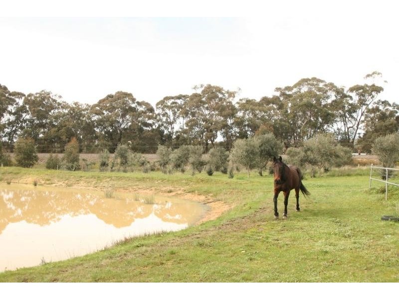 67 Military Bypass Road, Armstrong VIC 3377