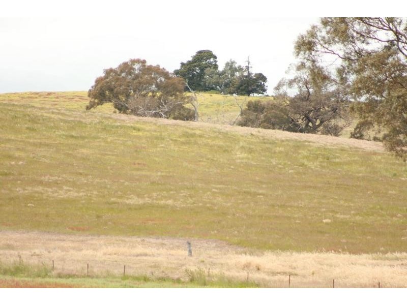 Phillips Flat Road, Cathcart VIC 3377