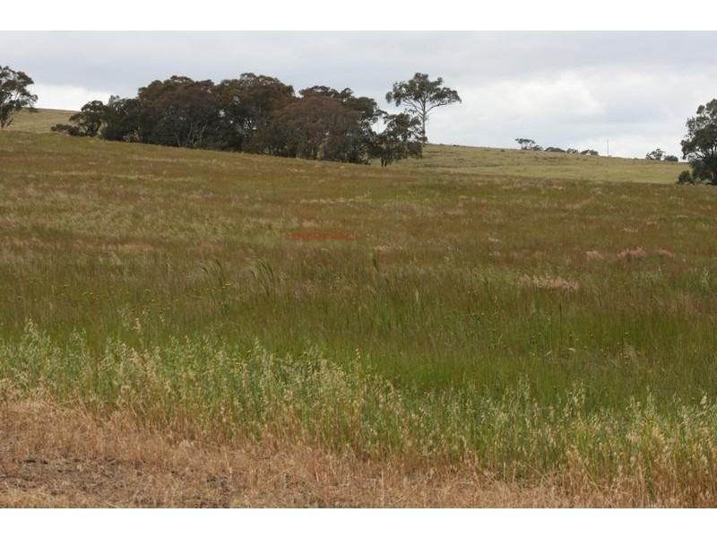 Phillips Flat Road, Cathcart VIC 3377