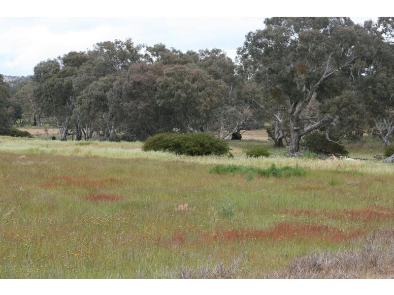 Phillips Flat Road, Cathcart VIC 3377