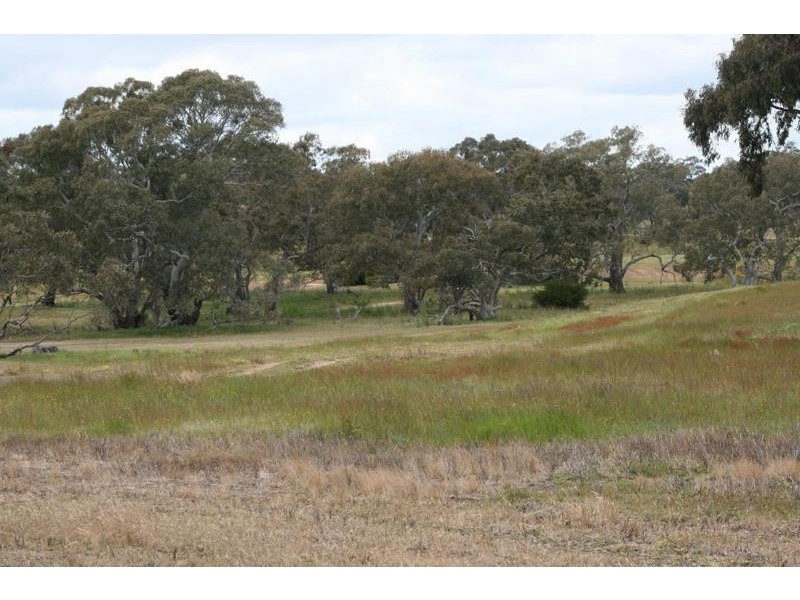 Phillips Flat Road, Cathcart VIC 3377