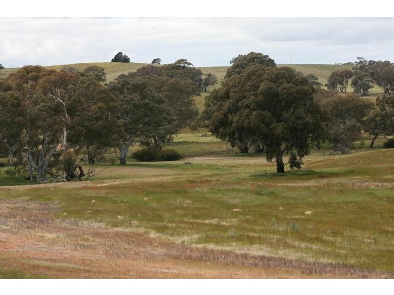 Phillips Flat Road, Cathcart VIC 3377