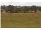 Phillips Flat Road, Cathcart VIC 3377