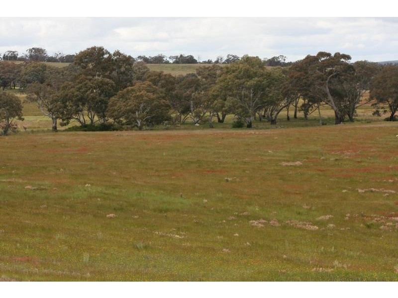 Phillips Flat Road, Cathcart VIC 3377