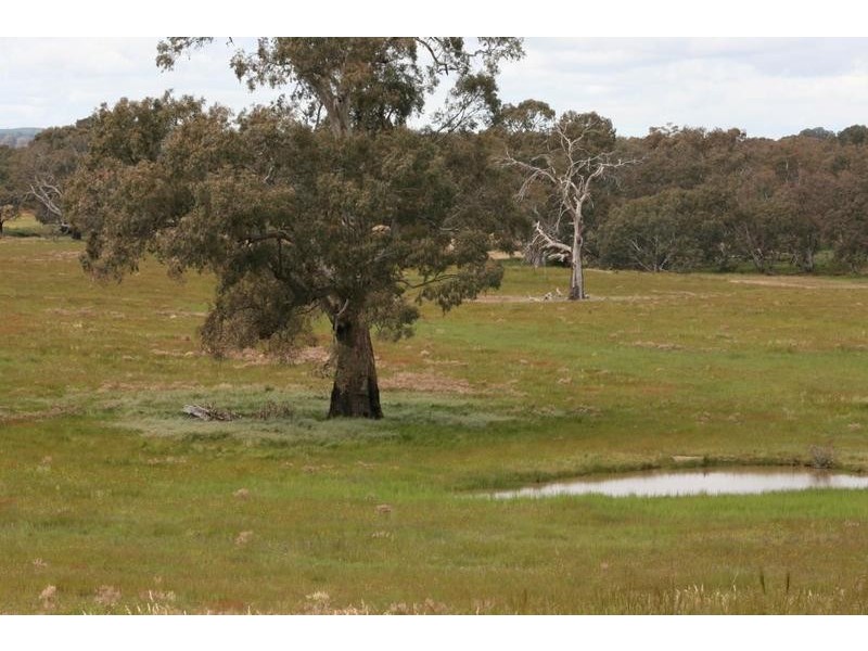 Phillips Flat Road, Cathcart VIC 3377