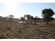 40 Block Road, Moyston VIC 3377