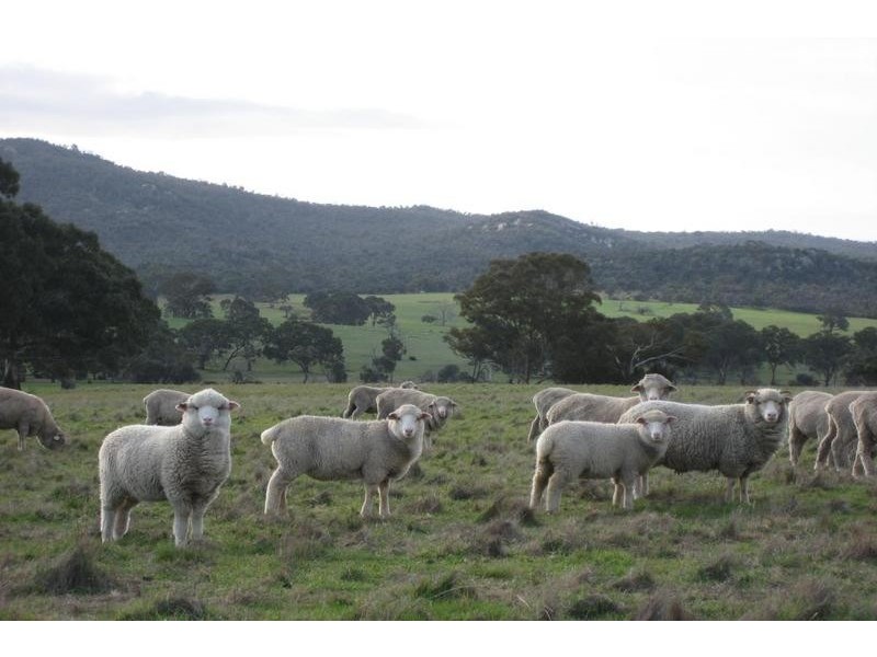 Great Western VIC 3377