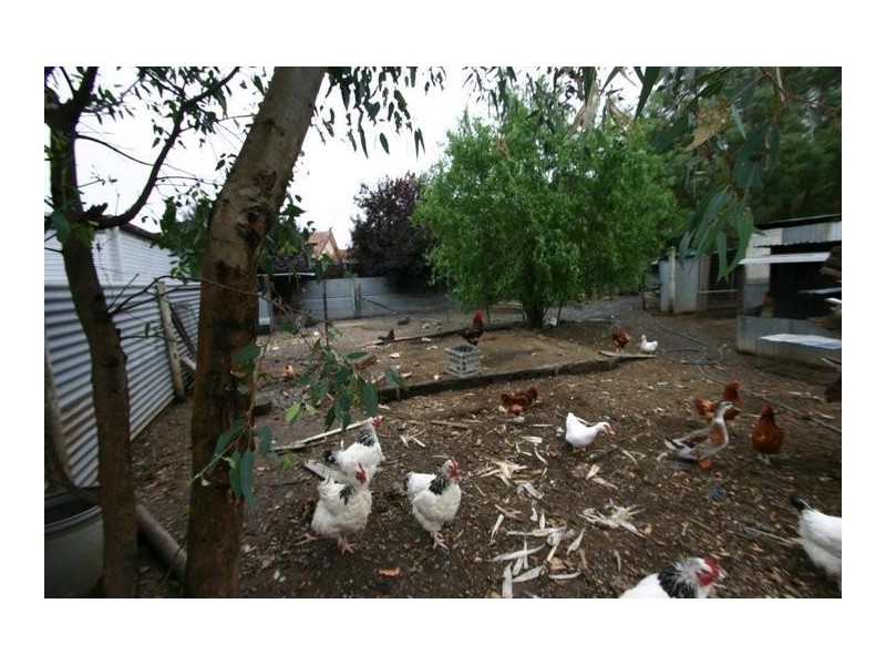 98 Buangor Road, Buangor VIC 3375