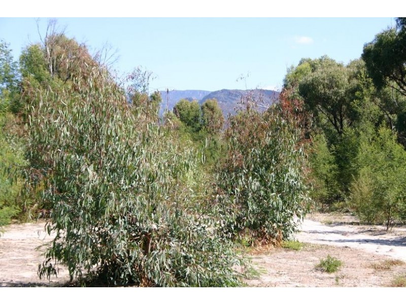 Moyston West Road, Moyston VIC 3377