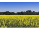 3526 MAROONA-GLENTHOMPSON ROAD, Glenthompson VIC 3293