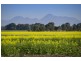 3526 MAROONA-GLENTHOMPSON ROAD, Glenthompson VIC 3293