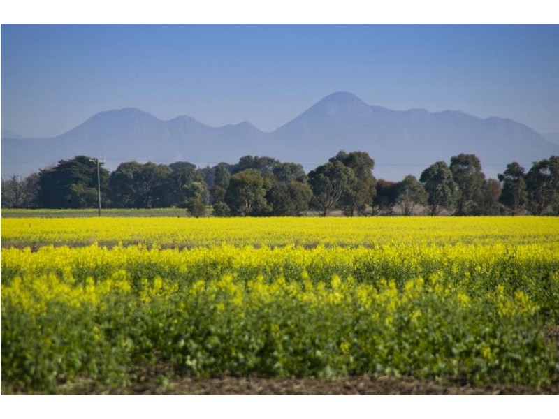 3526 MAROONA-GLENTHOMPSON ROAD, Glenthompson VIC 3293