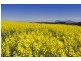 3526 MAROONA-GLENTHOMPSON ROAD, Glenthompson VIC 3293