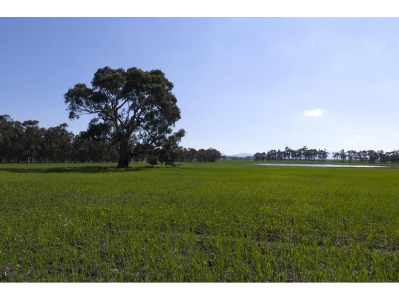 3526 MAROONA-GLENTHOMPSON ROAD, Glenthompson VIC 3293