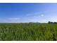3526 MAROONA-GLENTHOMPSON ROAD, Glenthompson VIC 3293