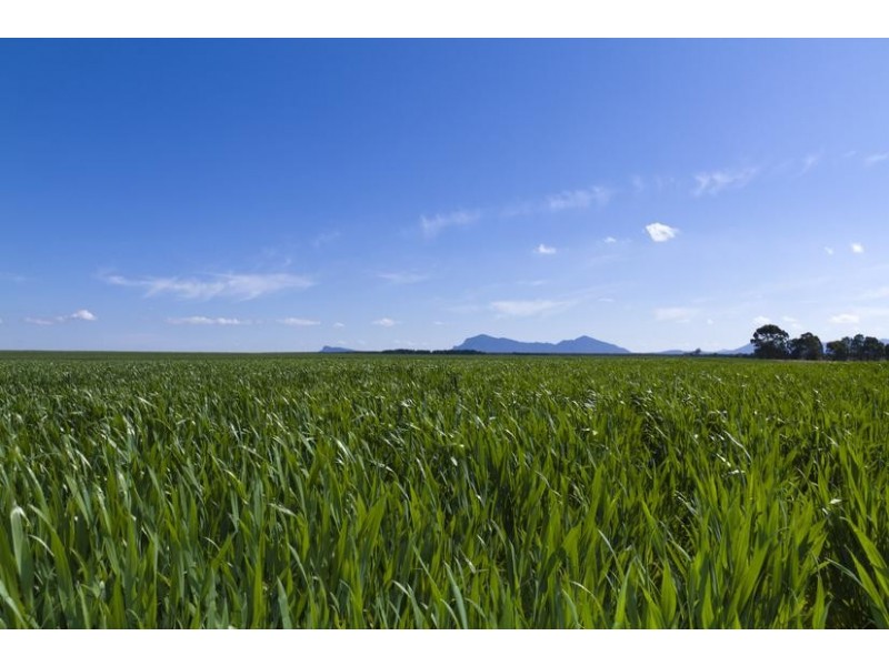 3526 MAROONA-GLENTHOMPSON ROAD, Glenthompson VIC 3293