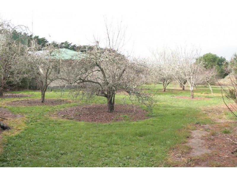 1384 Willaura – Wickliffe Road, Wickliffe VIC 3379