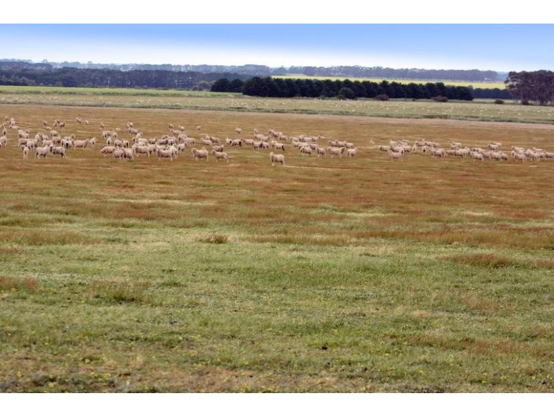 TATYOON RD, Tatyoon VIC 3378