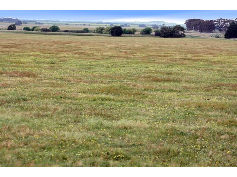 TATYOON RD, Tatyoon VIC 3378