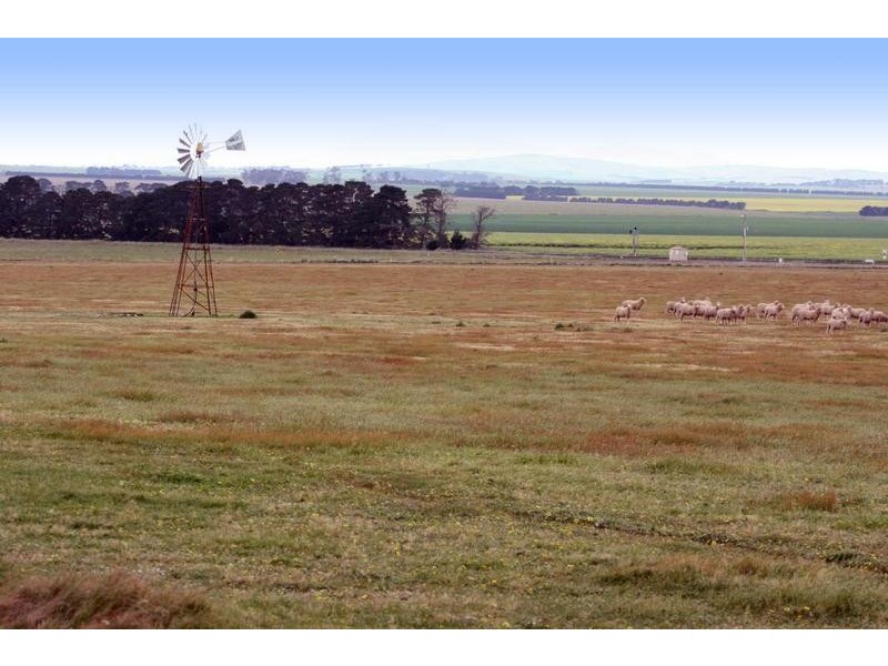 TATYOON RD, Tatyoon VIC 3378